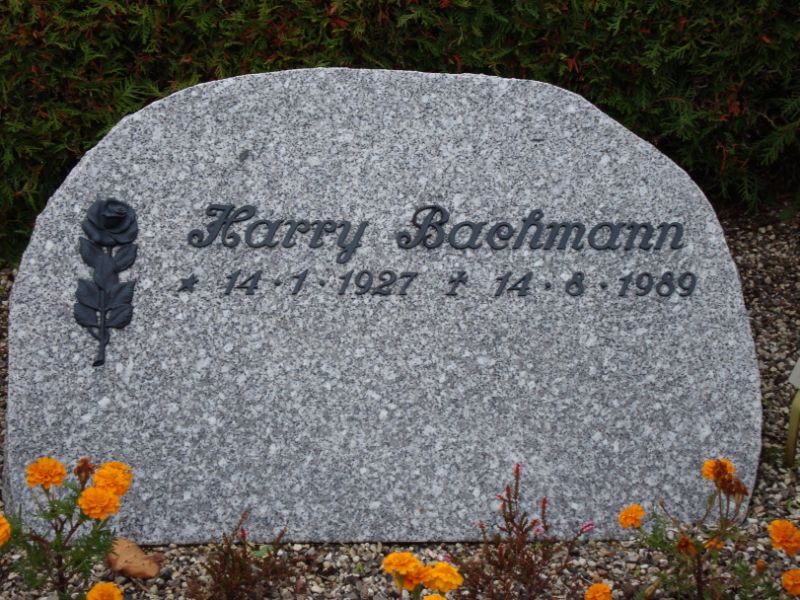 Harry Bachmann.JPG